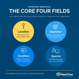 Core Four Fields Graphic - Measuring What Matters