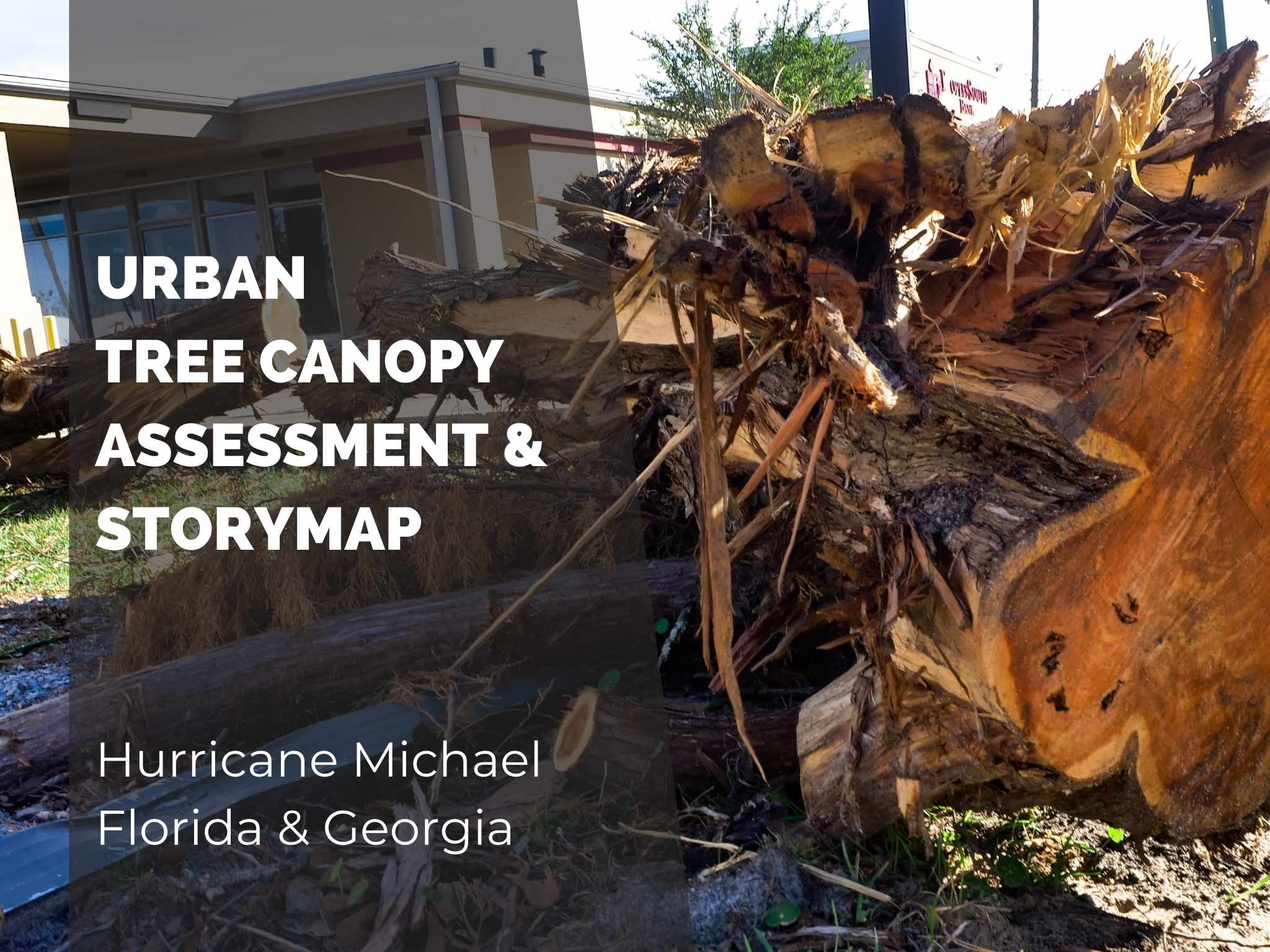 Hurricane Michael Report and StoryMap Hurricane Michael Report and StoryMap