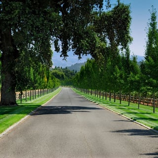 Private trees