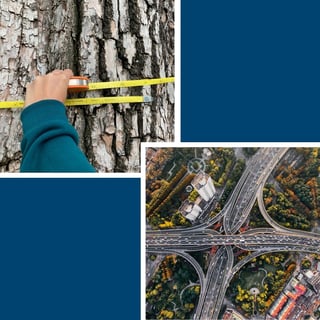 Tree Inventory VS Tree Canopy Assessment