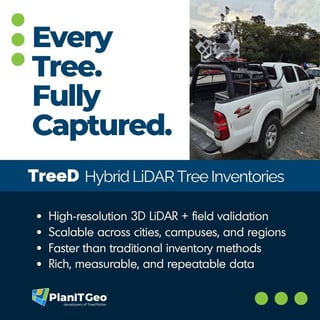 TreeD