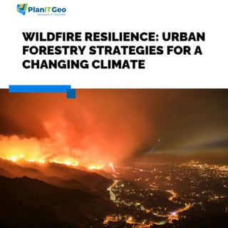Wildfire Resilience