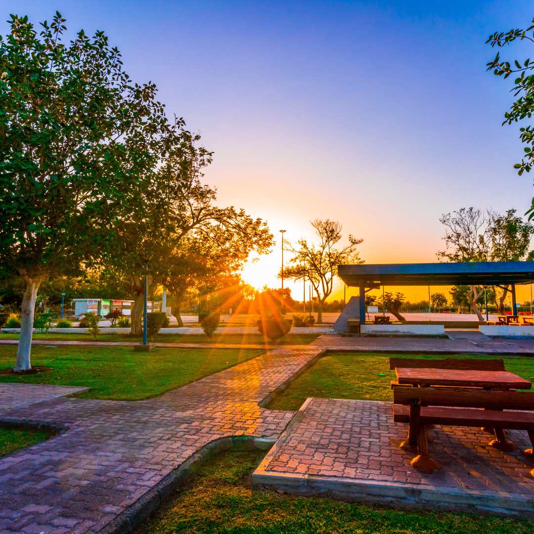 Urban park at sunset